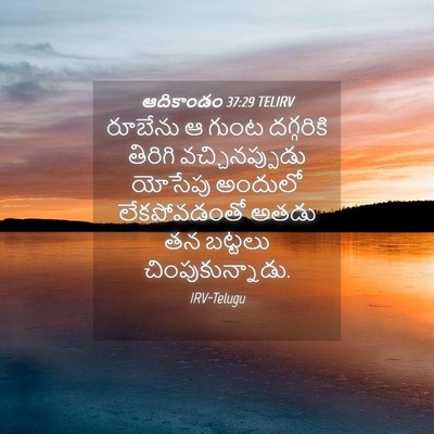 Picture 04 - ఆదికాండం 37:29 TELIRV - రూబేను ఆ గుంట - Bible Verse Picture