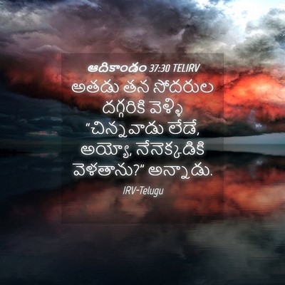 Picture 04 - ఆదికాండం 37:30 TELIRV - అతడు తన సోదరుల - Bible Verse Picture