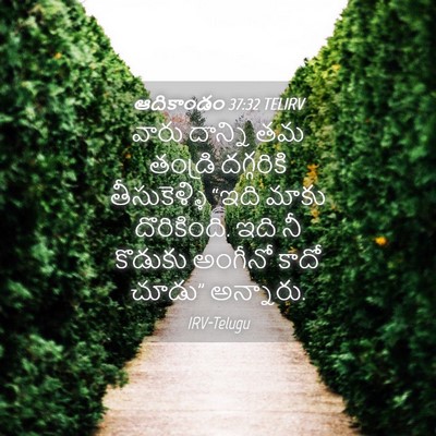 Picture 04 - ఆదికాండం 37:32 TELIRV - వారు దాన్ని తమ - Bible Verse Picture