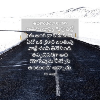 Picture 04 - ఆదికాండం 37:33 TELIRV - అతడు దాన్ని - Bible Verse Picture