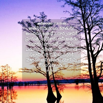 Picture 04 - ఆదికాండం 37:35 TELIRV - అతని కొడుకులు, - Bible Verse Picture