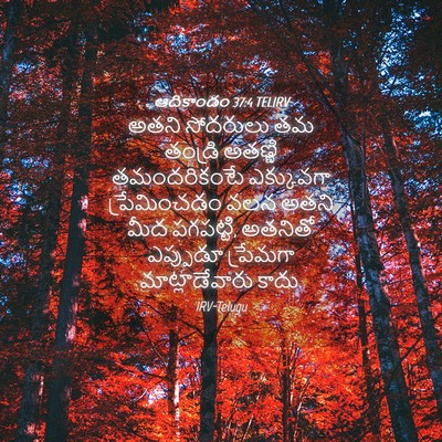 Picture 04 - ఆదికాండం 37:4 TELIRV - అతని సోదరులు తమ - Bible Verse Picture