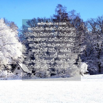 Picture 04 - ఆదికాండం 37:8 TELIRV - అందుకు అతని - Bible Verse Picture