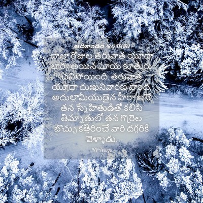 Picture 04 - ఆదికాండం 38:12 TELIRV - చాలా రోజుల తరువాత - Bible Verse Picture