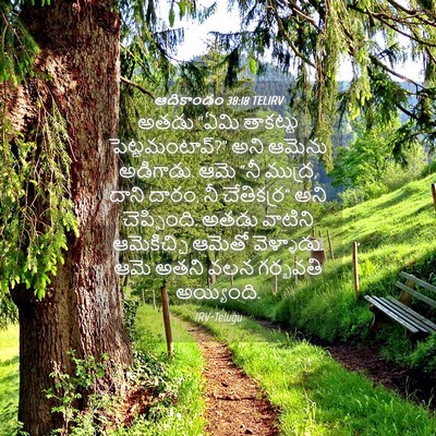 Picture 04 - ఆదికాండం 38:18 TELIRV - అతడు “ఏమి తాకట్టు - Bible Verse Picture