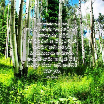 Picture 04 - ఆదికాండం 38:21 TELIRV - కాబట్టి అతడు “ఆ - Bible Verse Picture
