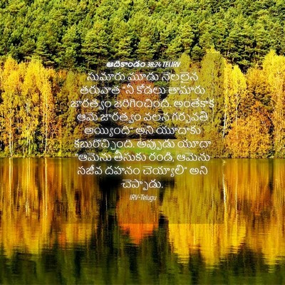 Picture 04 - ఆదికాండం 38:24 TELIRV - సుమారు మూడు - Bible Verse Picture