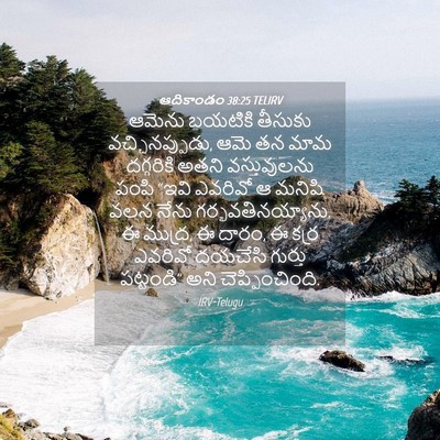 Picture 04 - ఆదికాండం 38:25 TELIRV - ఆమెను బయటికి - Bible Verse Picture