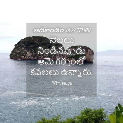 Picture 04 - ఆదికాండం 38:27 TELIRV - నెలలు - Bible Verse Picture