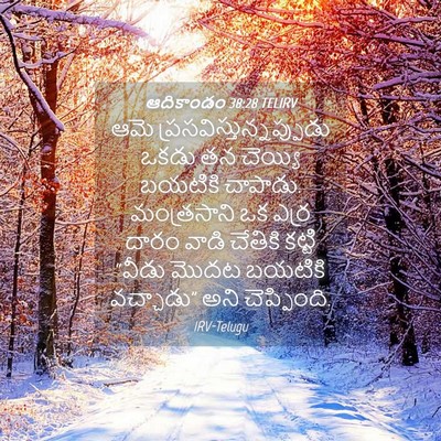 Picture 04 - ఆదికాండం 38:28 TELIRV - ఆమె - Bible Verse Picture