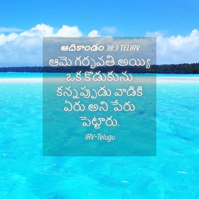 Picture 04 - ఆదికాండం 38:3 TELIRV - ఆమె గర్భవతి అయ్యి - Bible Verse Picture