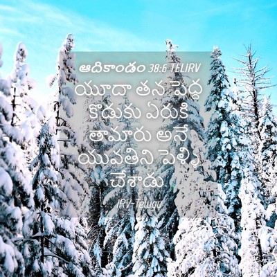 Picture 04 - ఆదికాండం 38:6 TELIRV - యూదా తన పెద్ద - Bible Verse Picture