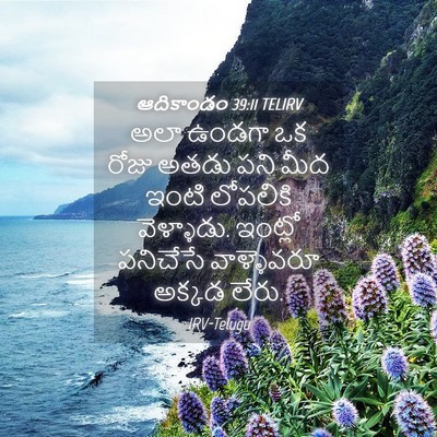 Picture 04 - ఆదికాండం 39:11 TELIRV - అలా ఉండగా ఒక రోజు - Bible Verse Picture
