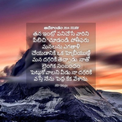 Picture 04 - ఆదికాండం 39:14 TELIRV - తన ఇంట్లో పనిచేసే - Bible Verse Picture