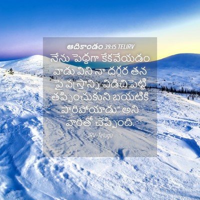 Picture 04 - ఆదికాండం 39:15 TELIRV - నేను పెద్దగా - Bible Verse Picture