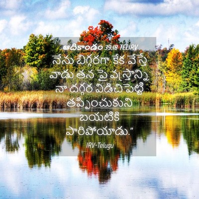Picture 04 - ఆదికాండం 39:18 TELIRV - నేను బిగ్గరగా కేక - Bible Verse Picture
