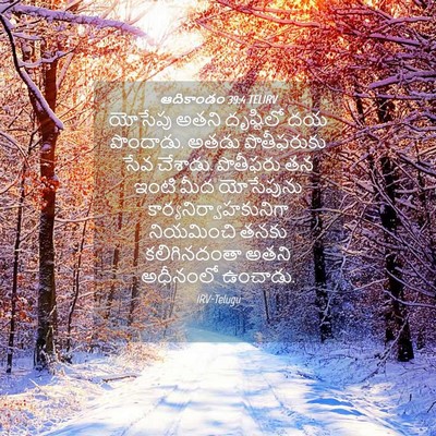 Picture 04 - ఆదికాండం 39:4 TELIRV - యోసేపు అతని - Bible Verse Picture