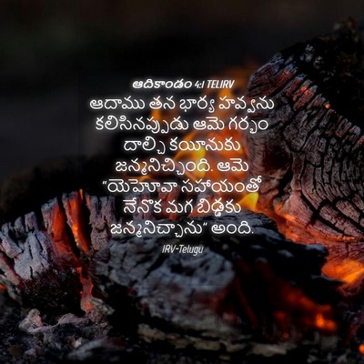 Picture 04 - ఆదికాండం 4:1 TELIRV - ఆదాము తన భార్య - Bible Verse Picture
