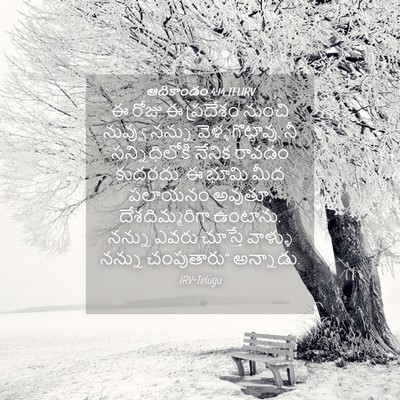 Picture 04 - ఆదికాండం 4:14 TELIRV - ఈ రోజు ఈ ప్రదేశం - Bible Verse Picture