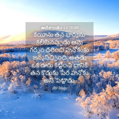 Picture 04 - ఆదికాండం 4:17 TELIRV - కయీను తన భార్యను - Bible Verse Picture
