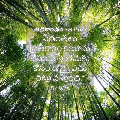 Picture 04 - ఆదికాండం 4:24 TELIRV - ఏడంతలు ప్రతీకారం - Bible Verse Picture