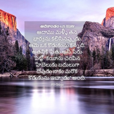 Picture 04 - ఆదికాండం 4:25 TELIRV - ఆదాము మళ్ళీ తన - Bible Verse Picture