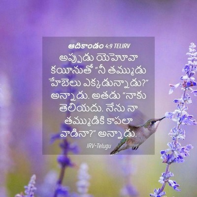 Picture 04 - ఆదికాండం 4:9 TELIRV - అప్పుడు యెహోవా - Bible Verse Picture