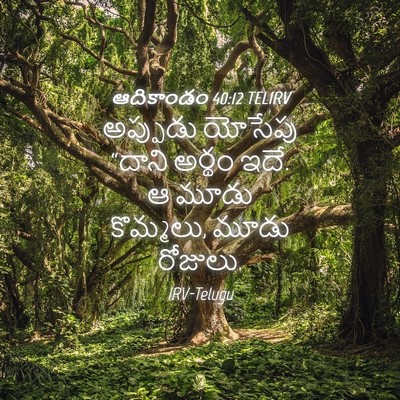 Picture 04 - ఆదికాండం 40:12 TELIRV - అప్పుడు యోసేపు - Bible Verse Picture