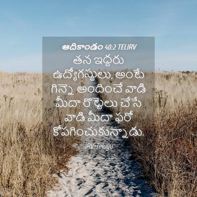 Picture 04 - ఆదికాండం 40:2 TELIRV - తన ఇద్దరు - Bible Verse Picture