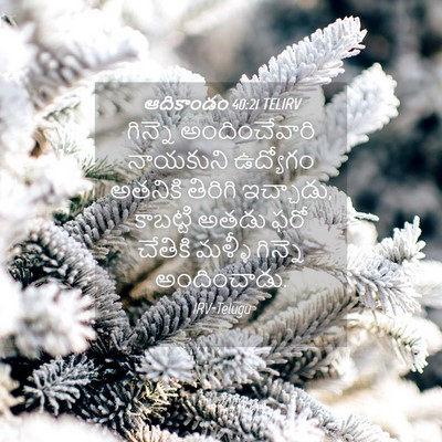 Picture 04 - ఆదికాండం 40:21 TELIRV - గిన్నె - Bible Verse Picture