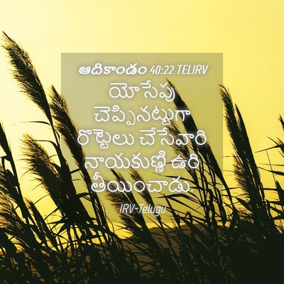 Picture 04 - ఆదికాండం 40:22 TELIRV - యోసేపు - Bible Verse Picture