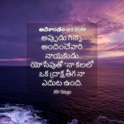 Picture 04 - ఆదికాండం 40:9 TELIRV - అప్పుడు గిన్నె - Bible Verse Picture