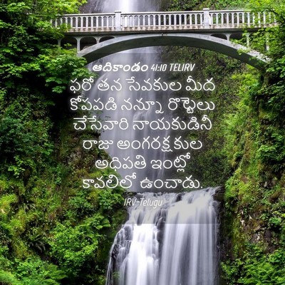 Picture 04 - ఆదికాండం 41:10 TELIRV - ఫరో తన సేవకుల మీద - Bible Verse Picture