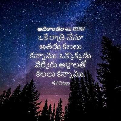 Picture 04 - ఆదికాండం 41:11 TELIRV - ఒకే రాత్రి నేనూ - Bible Verse Picture