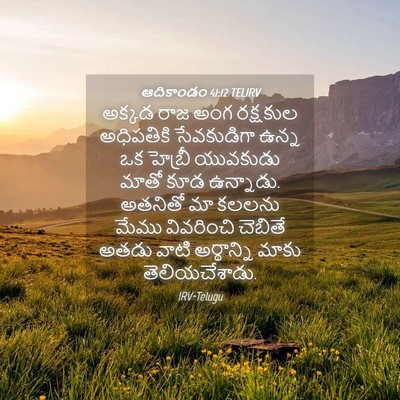 Picture 04 - ఆదికాండం 41:12 TELIRV - అక్కడ రాజ అంగ - Bible Verse Picture