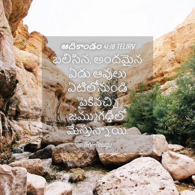 Picture 04 - ఆదికాండం 41:18 TELIRV - బలిసిన, అందమైన ఏడు - Bible Verse Picture