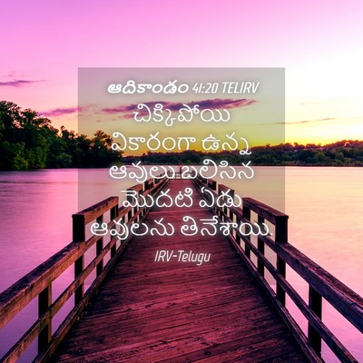 Picture 04 - ఆదికాండం 41:20 TELIRV - చిక్కిపోయి - Bible Verse Picture