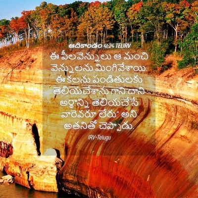 Picture 04 - ఆదికాండం 41:24 TELIRV - ఈ పీలవెన్నులు ఆ - Bible Verse Picture