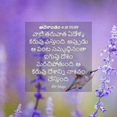 Picture 04 - ఆదికాండం 41:30 TELIRV - వాటి తరువాత - Bible Verse Picture