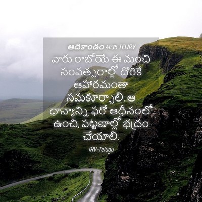 Picture 04 - ఆదికాండం 41:35 TELIRV - వారు రాబోయే ఈ మంచి - Bible Verse Picture