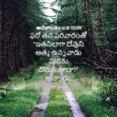 Picture 04 - ఆదికాండం 41:38 TELIRV - ఫరో తన పరివారంతో - Bible Verse Picture