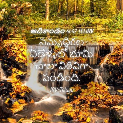 Picture 04 - ఆదికాండం 41:47 TELIRV - సమృద్ధిగల - Bible Verse Picture