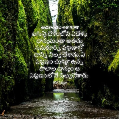 Picture 04 - ఆదికాండం 41:48 TELIRV - ఐగుప్తు దేశంలోని - Bible Verse Picture