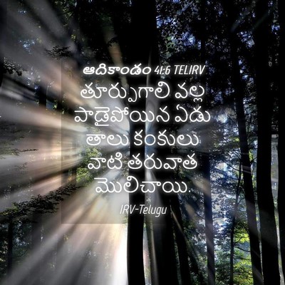 Picture 04 - ఆదికాండం 41:6 TELIRV - తూర్పుగాలి వల్ల - Bible Verse Picture