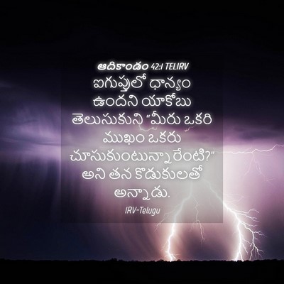 Picture 04 - ఆదికాండం 42:1 TELIRV - ఐగుప్తులో ధాన్యం - Bible Verse Picture