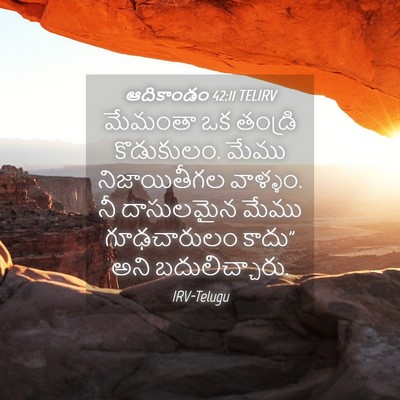 Picture 04 - ఆదికాండం 42:11 TELIRV - మేమంతా ఒక తండ్రి - Bible Verse Picture