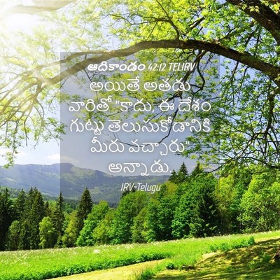 Picture 04 - ఆదికాండం 42:12 TELIRV - అయితే అతడు వారితో - Bible Verse Picture