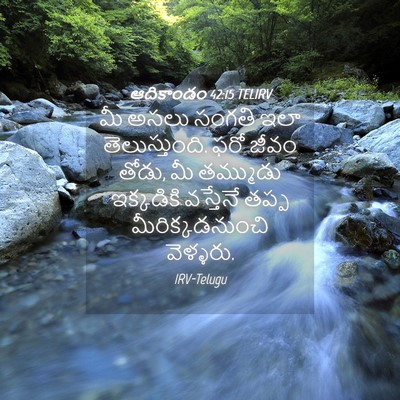 Picture 04 - ఆదికాండం 42:15 TELIRV - మీ అసలు సంగతి ఇలా - Bible Verse Picture