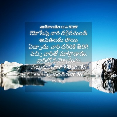 Picture 04 - ఆదికాండం 42:24 TELIRV - యోసేపు వారి - Bible Verse Picture