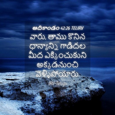 Picture 04 - ఆదికాండం 42:26 TELIRV - వారు, తాము కొనిన - Bible Verse Picture
